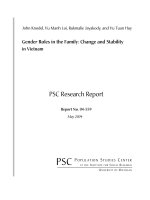 Gender Roles in the Family: Change and Stability in Vietnam