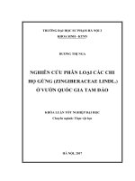 Nghiên cứu phân loại các chi họ gừng (zingiberaceae lindl.) ở vườn quốc gia Tam Đảo