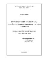 Bước đầu nghiên cứu phân loại chi càng cua (Peperomia Ruiz & Pav. 1794) ở Việt Nam