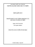 Tính ổn định và đặt chỉnh tikhonov của bài toán cân bằng từ điển 