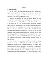 Luận văn: Nghiên cứu mô phỏng các bài thực hành hóa lý phần nhiệt động học