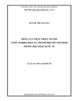 Động lực phát triển ngành công nghiệp điện tử thành phố hồ chí minh trong hội nhập quốc tế 