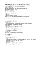 GIÁO ÁN PTNT MẦM NON