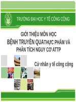 GIỚI THIỆU MÔN HỌCBỆNH TRUYỀN QUATHỰC PHẨM VÀ PHÂN TÍCH NGUY CƠ ATTPCử nhân y tế công cộng