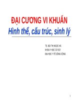 ĐẠI CƯƠNG VI KHUẨN - Hình thể, cấu trúc, sinh lý