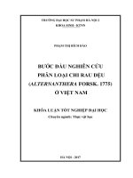 Bước đầu nghiên cứu phân loại chi rau dệu (Alternanthera forsk. 1775) ở Việt Nam