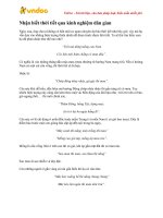 Kinh nghiệm dân gian đoán thời tiết bạn nên biết