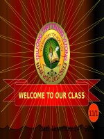 Giáo án điện tử tiếng anh lớp 11 english 11 unit 8 language focus 