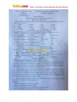 Đề thi vào lớp 10 môn Tiếng Anh tỉnh Nghệ An năm học 2017 - 2018 (Có đáp án)