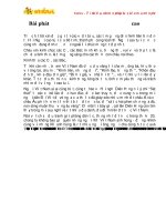 Bài phát biểu tại lễ kỷ niệm của Hội Người cao tuổi