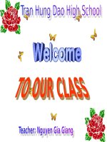 Giáo án điện tử tiếng anh lớp 11 Unit 7 reading