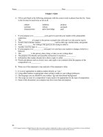 11 essentials of effective writing 1st edition ann marie radaskiewicz mcneely test bank 