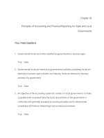 Accounting for governmental and nonprofit entities 16th edition reck test bank 