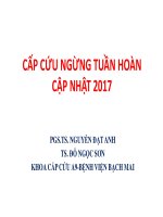 Báo cáo cấp cứu ngừng tuần hoàn cập nhật 2017 