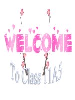 Giáo án điện tử tiếng anh lớp 11 Unit 4 language focus 