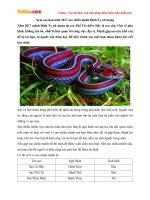 Xem sao hạn năm 2017 sao chiếu mệnh Đinh Tỵ nữ mạng