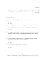 Accounting for governmental and nonprofit entities 17th edition reck test bank 