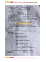 Đề thi tuyển sinh vào lớp 10 THPT môn Ngữ văn Sở GD&ĐT Phú Yên năm học 2017 - 2018