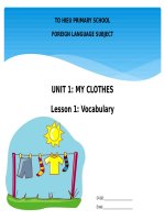 Unit 1 my clothes lesson 1   vocabulary 