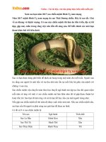 Xem sao hạn năm 2017 sao chiếu mệnh Đinh Tỵ nam mạng