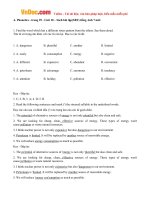 Giải bài tập SBT Tiếng Anh lớp 7 chương trình mới Unit 10: Sources Of Energy