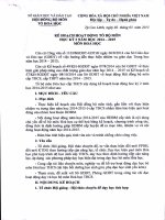 Kế hoạch hoạt động Tổ bộ môn Hóa học trung học cơ sở cấp tỉnh