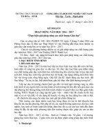 KẾ HOẠCH HOẠT ĐỘNG TỔ HÓA NĂM HỌC 2016 2017