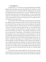 Tính lãi suất tín dụng tiền tệ ngân hàng