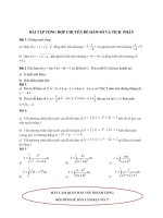 Bài tập tổng hợp hàm số + tích phân 