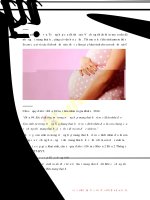 Mang thai hộ con sinh ra là của ai?