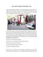 Quy trình xử lý hành vi lấn chiếm vỉa hè