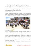 Tổng hợp những lỗi người đi xe đạp thường vi phạm