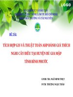 Tích hợp GIS và thuật toán AHP đánh giá thích nghi cây điều tại huyện bù gia mập tỉnh bình phước 