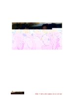 Nhà trường không được thu các khoản ngoài học phí