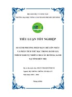 TIỂU LUẬN SO SÁNH PHƯƠNG PHÁP HẠN CHẾ LỚN NHẤT VÀ PHÂN TÍCH THỨ BẬC TRONG ĐÁNH GIÁ THÍCH NGHI TỰ NHIÊN CHO CÂY BƯỞI DA XANH TẠI TỈNH BẾN TRE