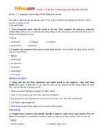 Giải bài tập SGK Tiếng Anh lớp 11 Chương trình mới Review 1