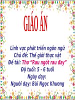 Giáo án điện tử Lớp Lá đề tài Thơ rau ngót rau đay