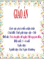 Giáo án điện tử Lớp Lá đề tài Trò chuyện về ngày tết nguyên đán