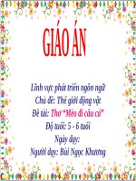 Giáo án điện tử mẫu giáo 5 tuổi đề tài Thơ mèo đi câu cá