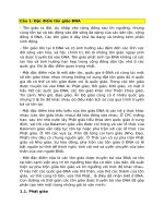 MỘT SỐ VẤN ĐỀ LỊCH SỬ ĐÔNG NAM Á