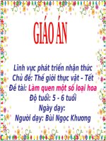 Giáo án điện tử Lớp Lá đề tài Làm quen một số loại hoa
