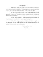 Báo cáo: Nghiên cứu chế tạo than hoạt tính từ vỏ trấu và ứng dụng làm chất hấp phụ