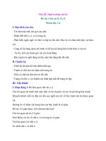 Giáo án lớp lá (5 - 6 tuổi): Chữ cái o, ô, ơ