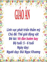 Giáo án điện tử lớp Lá Vẽ đàn bướm bay