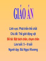 Giáo án điện tử mẫu giáo 5 tuổi đề tài bật chụm chân tách chân