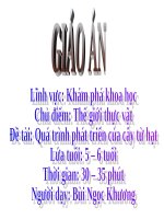 Giáo án điện tử Lớp Lá đề tài Quá trình phát triển của cây từ hạt