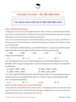 Các dạng toán thường gặp trong bài toán có liên quan đến đột biến gen 