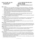 Tuyển tập 20 đề thi học sinh giỏi môn hoá học lớp 9 có đáp án