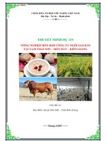 Dự án nông nghiệp hỗn hợp tại nam thái sơn   hòn đất   kiên giang 