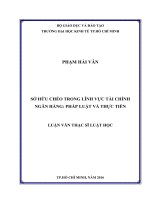 Sở hữu chéo trong lĩnh vực tài chính ngân hàng pháp luật và thực tiễn 